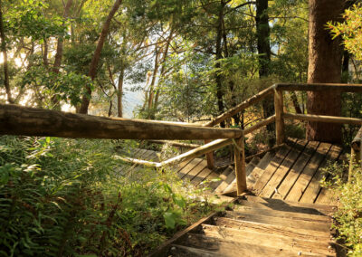 Boardwalk stairs providing river beach access at Serenity Apartments Noosa accommodation