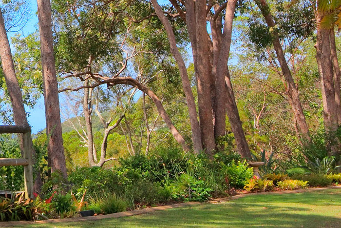 rainforest-gardens
