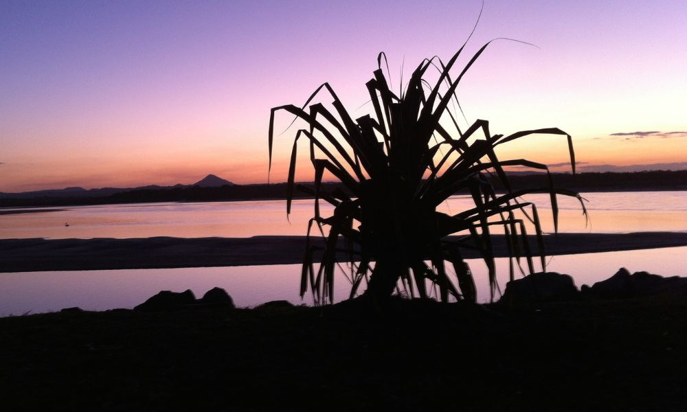 Noosa Sunset