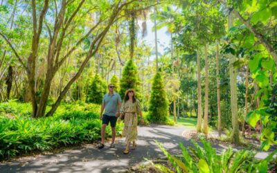 Noosa Parks and Playgrounds